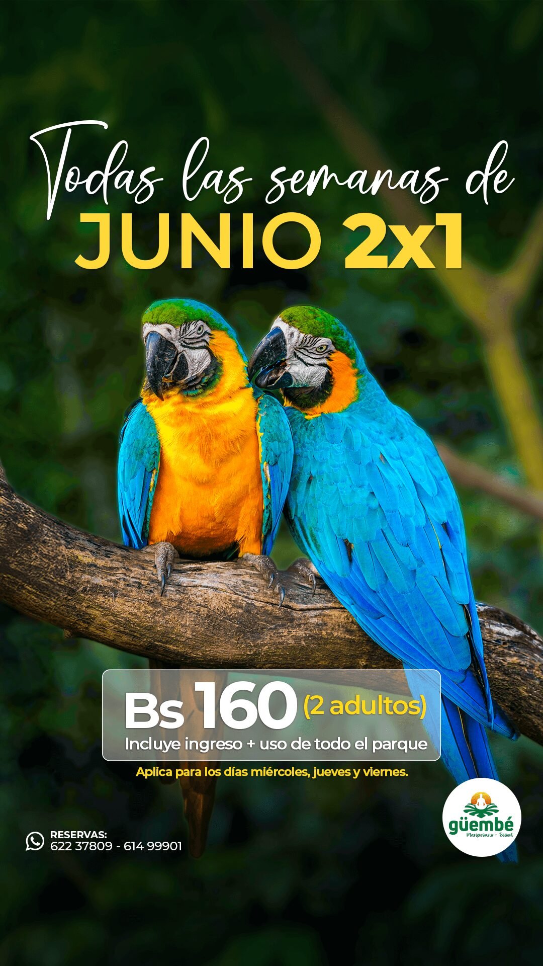 JUNIO 2x1-HIS GUEMBE