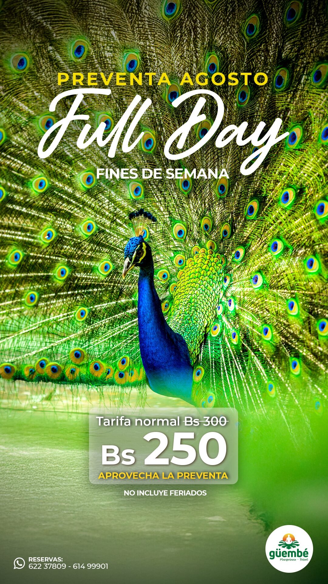Preventa Full Day-AGOSTO-HIS